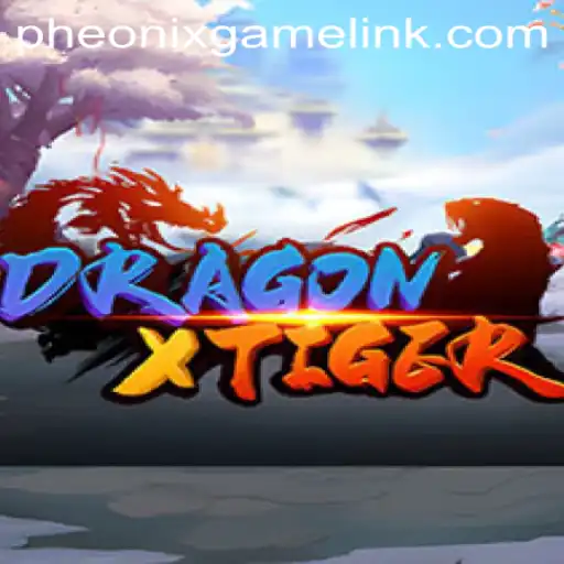 DragonXTiger: The Thrilling World Explored